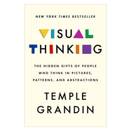 Visual Thinking: The Hidden Gifts of People Who Think in Pictures, Patterns and Abstractions